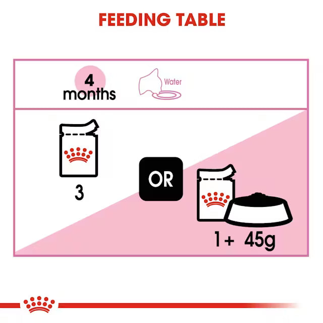 Royal Canin Kitten Wet Cat Food in Gravy